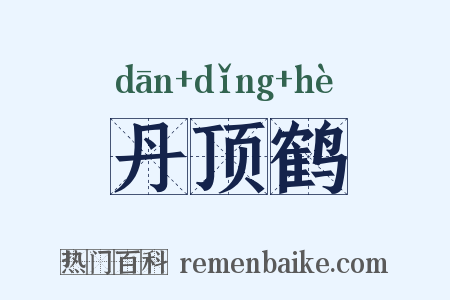 丹顶鹤是什么意思的图片